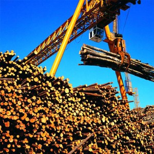 Gantry Crane with Grab