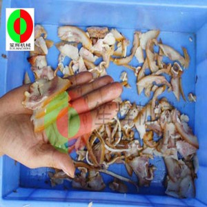 Lille kødskiver / kødskiver / kødskæremaskine / lille lodret kødskive QE-500