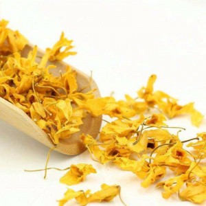 Caulis dendrobii blomster