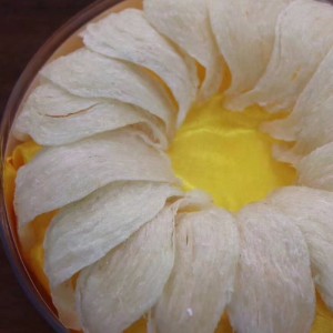 Fugl rede til næring