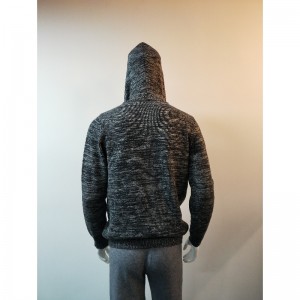 GRATIS HOODED MAN SWEATER RLMS0005F