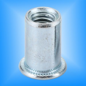 Fladt hoved rundt krop