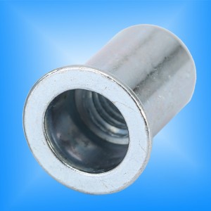 Fladt hoved rundt krop