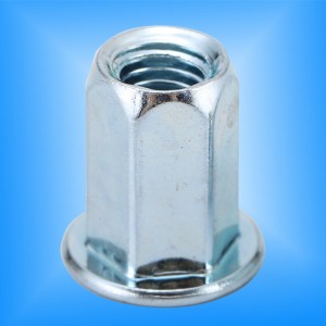 Fladt hoved fuld hex krop