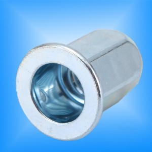 Fladt hoved fuld hex krop