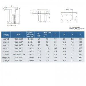 Fladt hoved fuld hex krop
