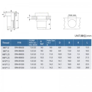 Elevator Flad Head Rivet nødder