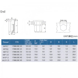 Fladt hoved fuld hex krop tæt ende