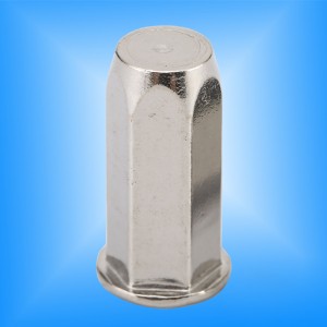 Fladt hoved fuld hex krop tæt ende