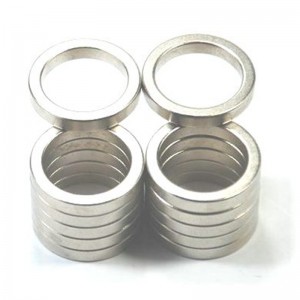 Tilpas monopolringmagnet.