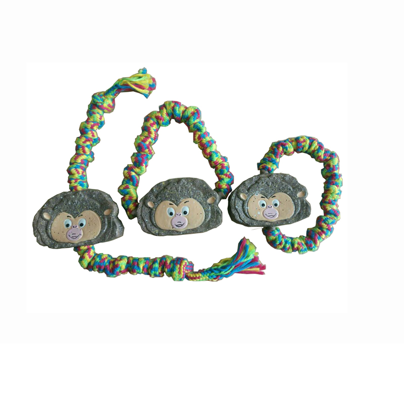 Det mest populære legetøj til kæledyr til kæledyr til udendørs studier