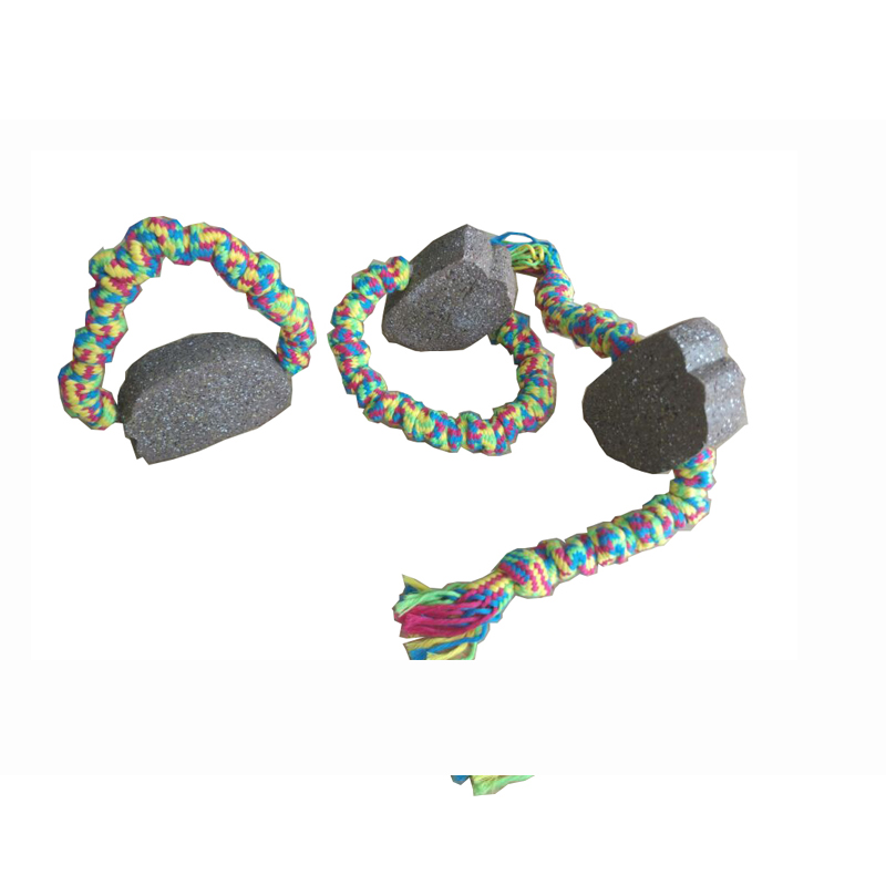 Det mest populære legetøj til kæledyr til kæledyr til udendørs studier