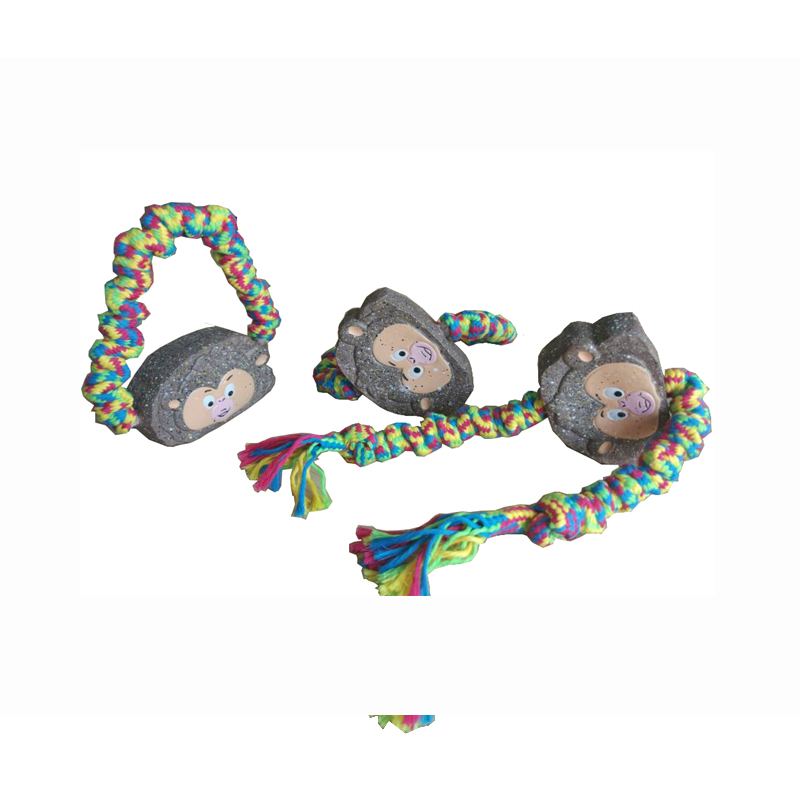 Det mest populære legetøj til kæledyr til kæledyr til udendørs studier