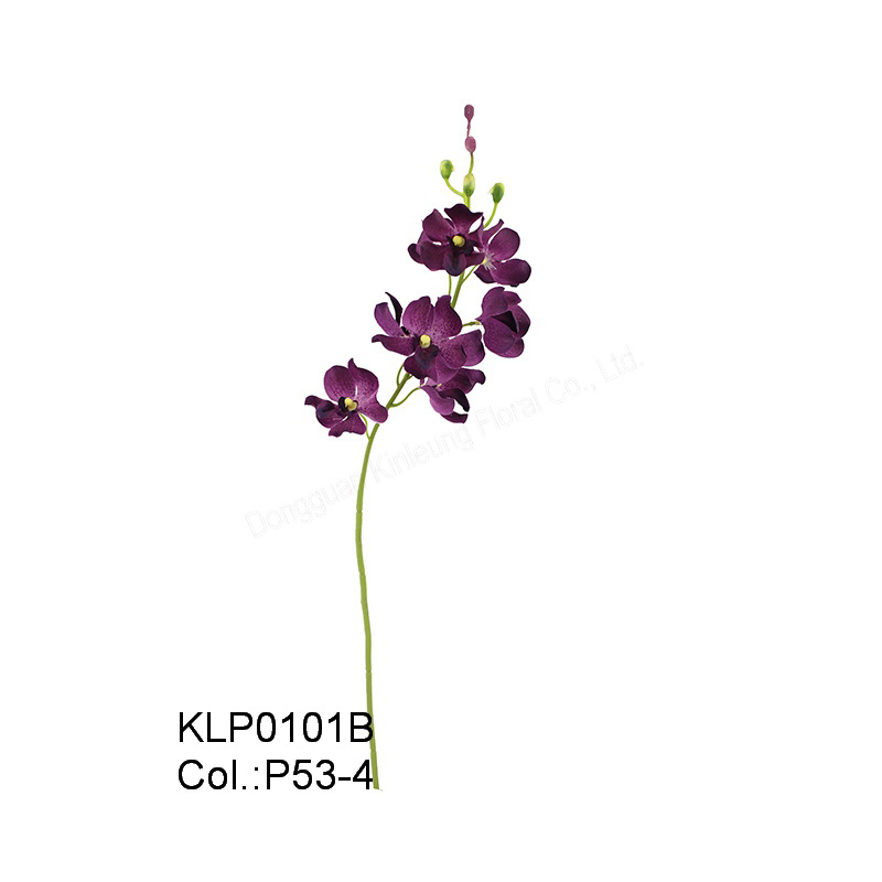 19\49cm Mokara Orchid Spray