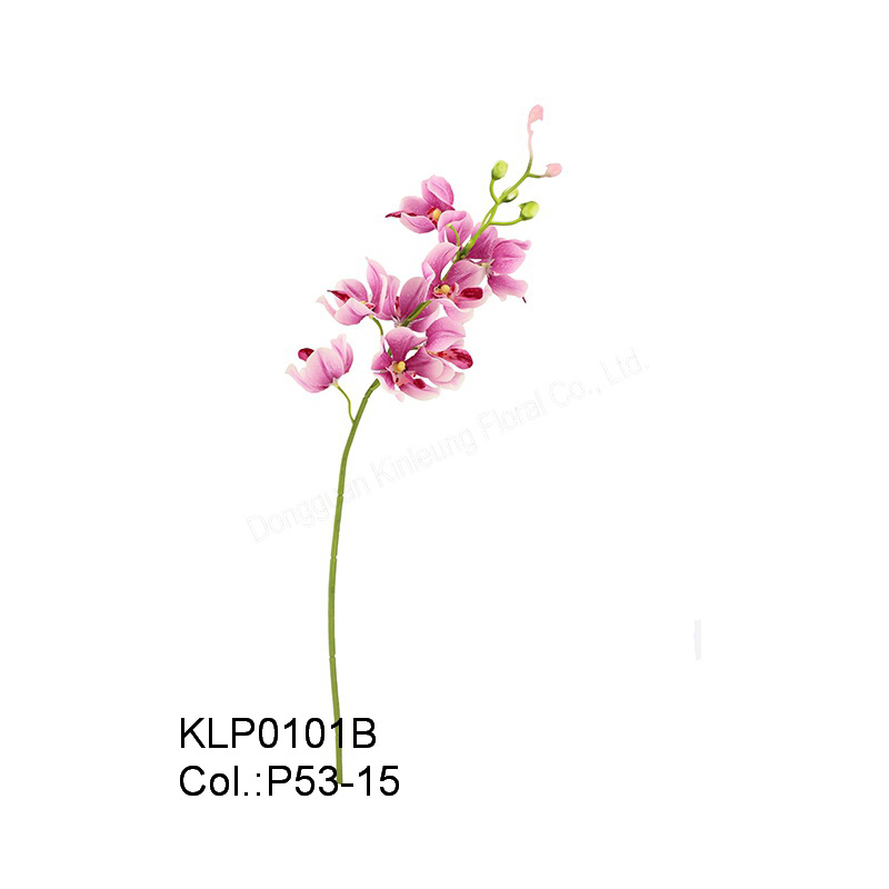 19\49cm Mokara Orchid Spray