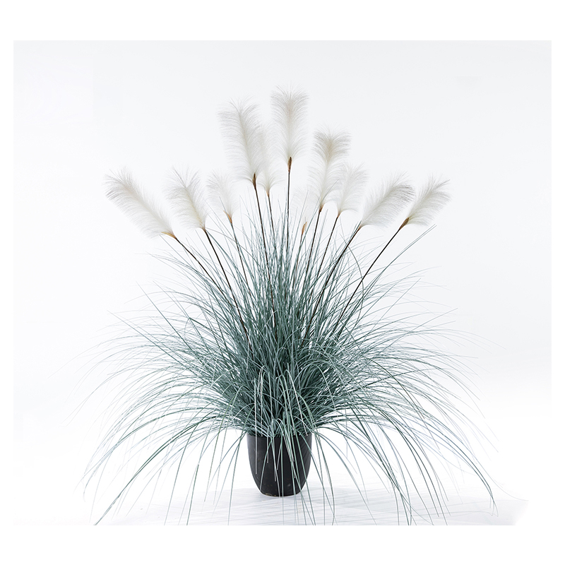 OH10920017/ OH10920018