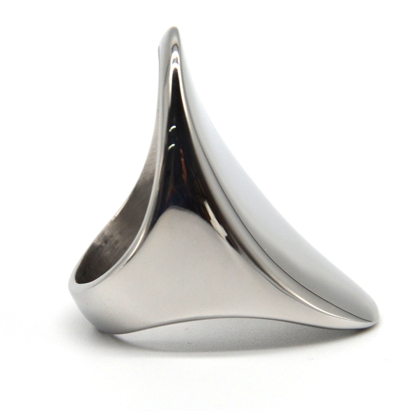 Ringen af rustfrit stål rfbrg1014