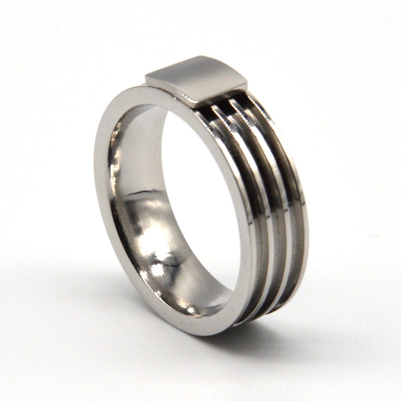 Ringen af rustfrit stål rfbrg1109