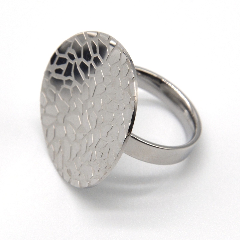 Ringen af rustfrit stål rfbrg1166