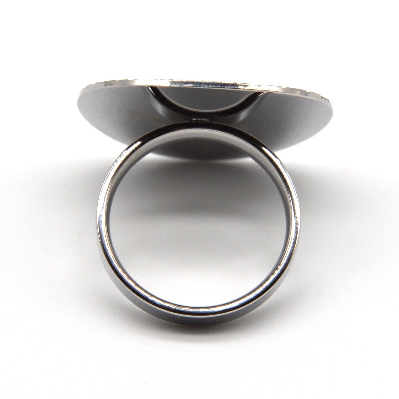 Ringen af rustfrit stål rfbrg1166
