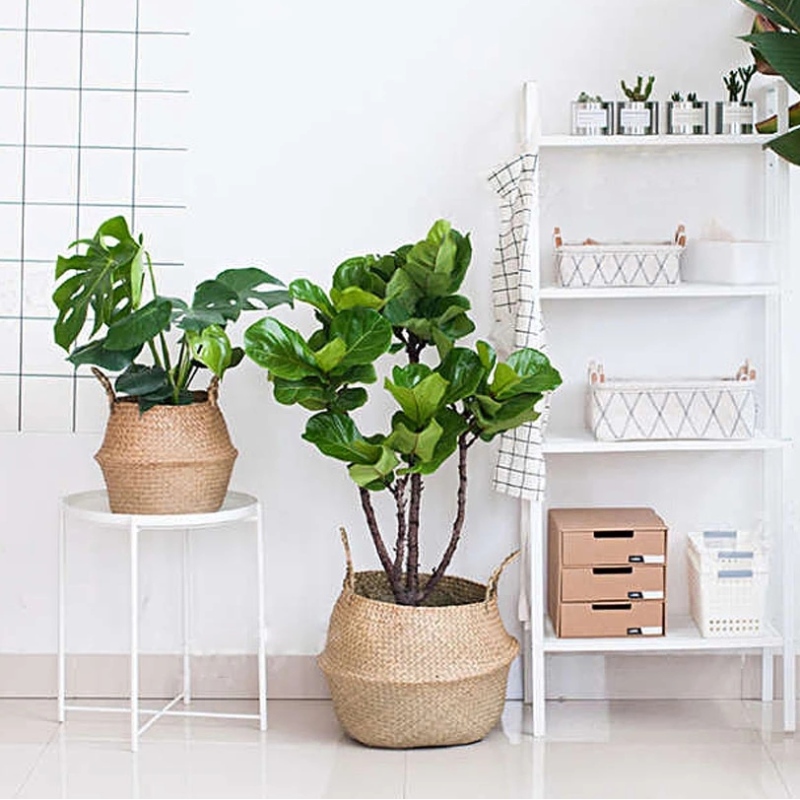 Boligindretning blomsterpotte stativ oval hængende havgræs opbevaringskurv