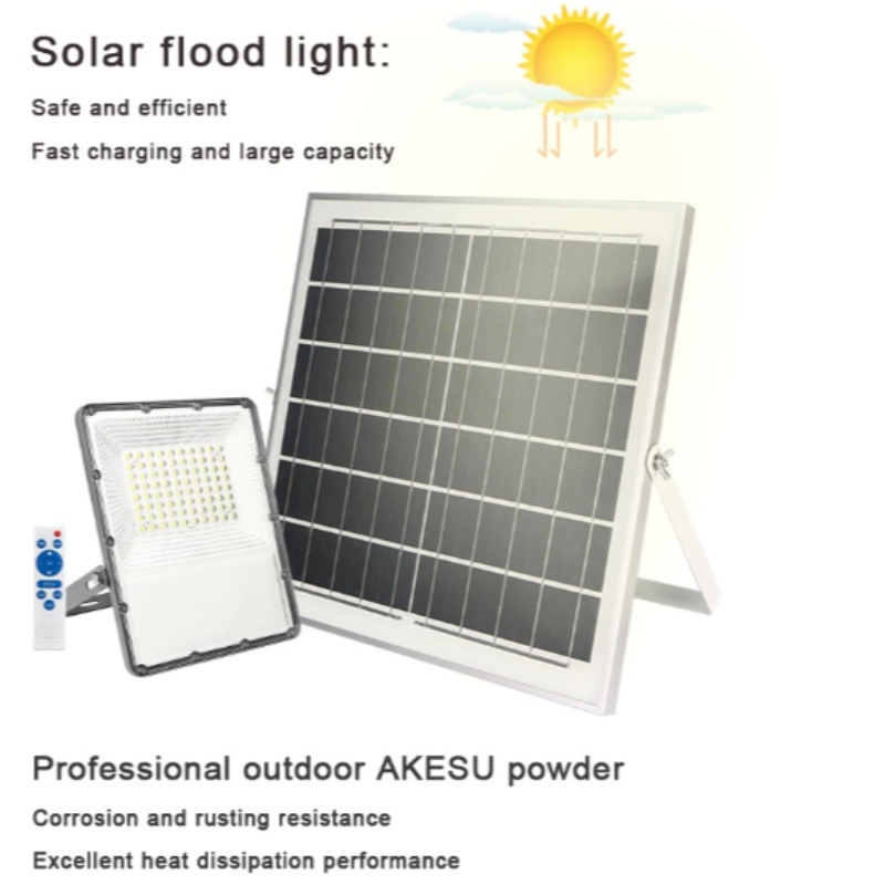 IP65 20W 30W 50W 100W 200W Bl Solar Flood Light med fjern styreenhed