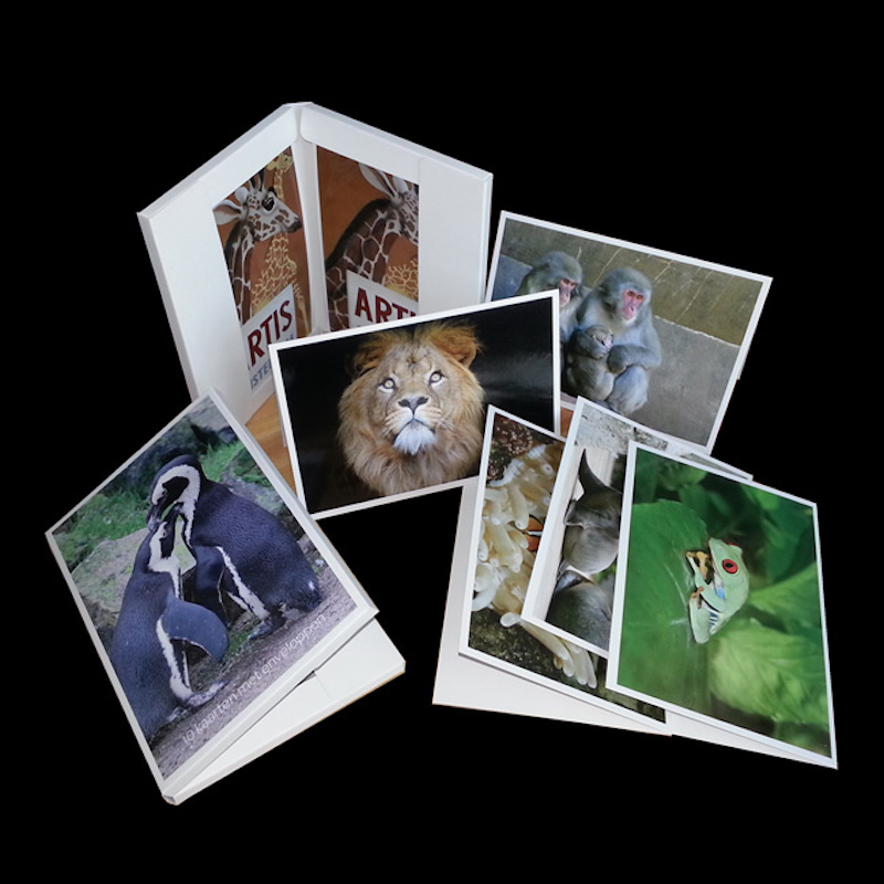 Græskar kort til alle lejligheder, papirkort, med konvolutter.Minder til rejsende