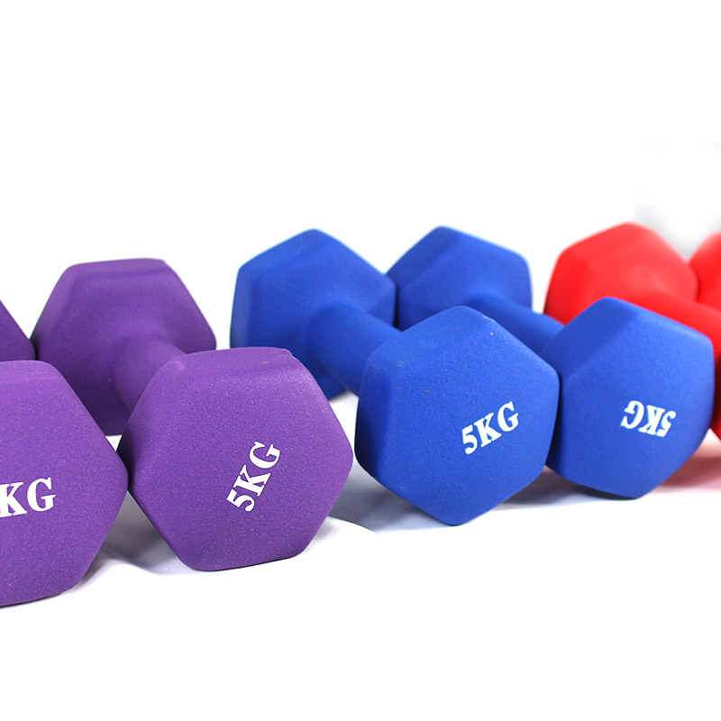 Vinyl Dumbbell Fitness Exercise Ladies Dumbbell