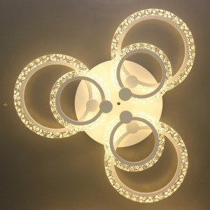 AC819 Ceiling Light