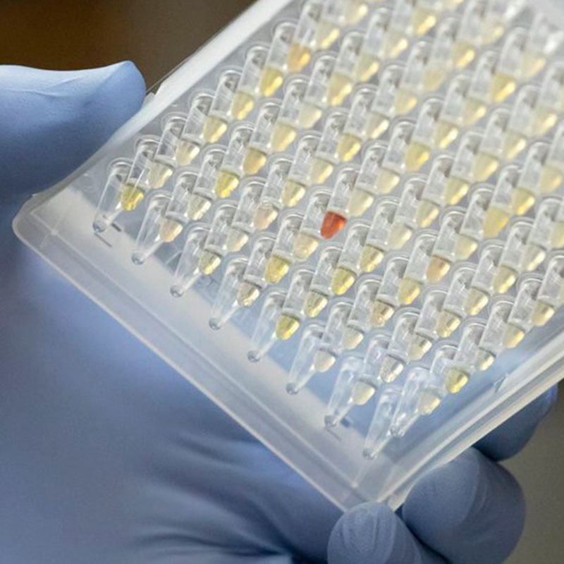 Forskere ser på spredning af Oregon Covid-19-variant