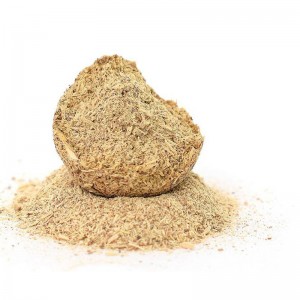 Polygonum cuspidatum.