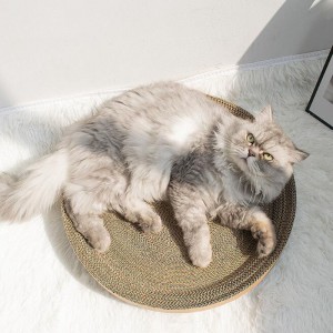 Kirsebær kat griber skål