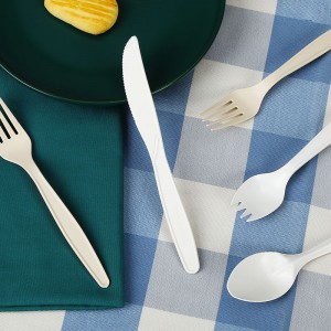 PLA Materiale Compostable Disposable Bordservice