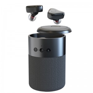FB-BEB20 TWS Ørtelefoner + Bluetooth Speaker 2 i 1 Combo