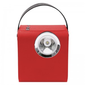 FB-BS5060 Wooden Bluetooth højttaler med LED Torch