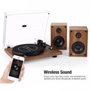 FB-TT004 High-end Turntable Player