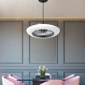 Fan light fl x dlff18 300