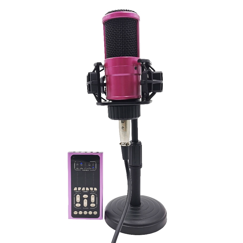FB-LSC500 Super Slim Størrelse Multifunktionelt Voice Changer Live Sound Card og Microphone Set
