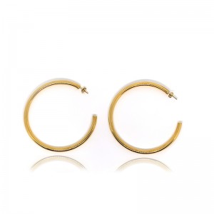 Rustfrit stål Forgyldt Fashion Hoop Øreringe