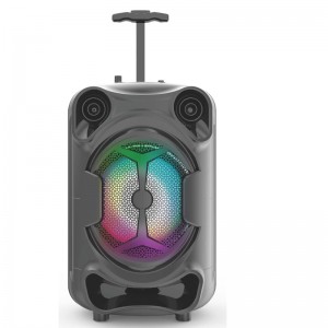 FB-PS816 Tailgate Bluetooth Parthøjthøjttaler med LED-belysning