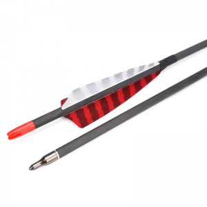 Elong Outdoor 112837 ID6.2mm SP500 Carbon Fiber Arrow Tyrkiet Feather Bueskydning