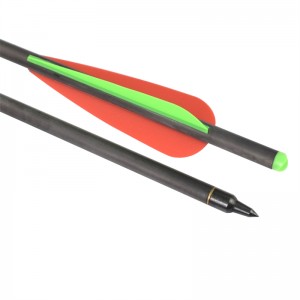 Elong Outdoor 110038-SLD 22inch ID7.62mm Carbon Bolt Archery Crossbow Target Shooting