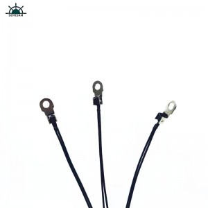 ODM OEM tilpasset 1k 10k 100k Ohm B Value 3950K NTC Termistor Temperaturføler til 3D Print Machine