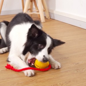 Gummi lækker snack hund legetøj