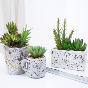 Nyligt designet pottet kunstig succulent plante Succulent i Cement Pot