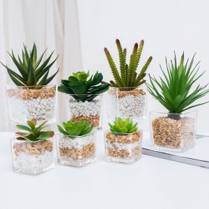 Potted Artificial Succulent i Glass Ware