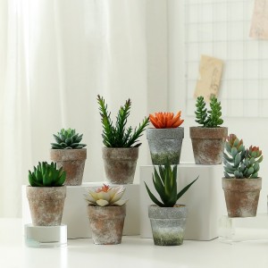 Hot Selling Artificial Succulent Plant i Paper Pulp Pot