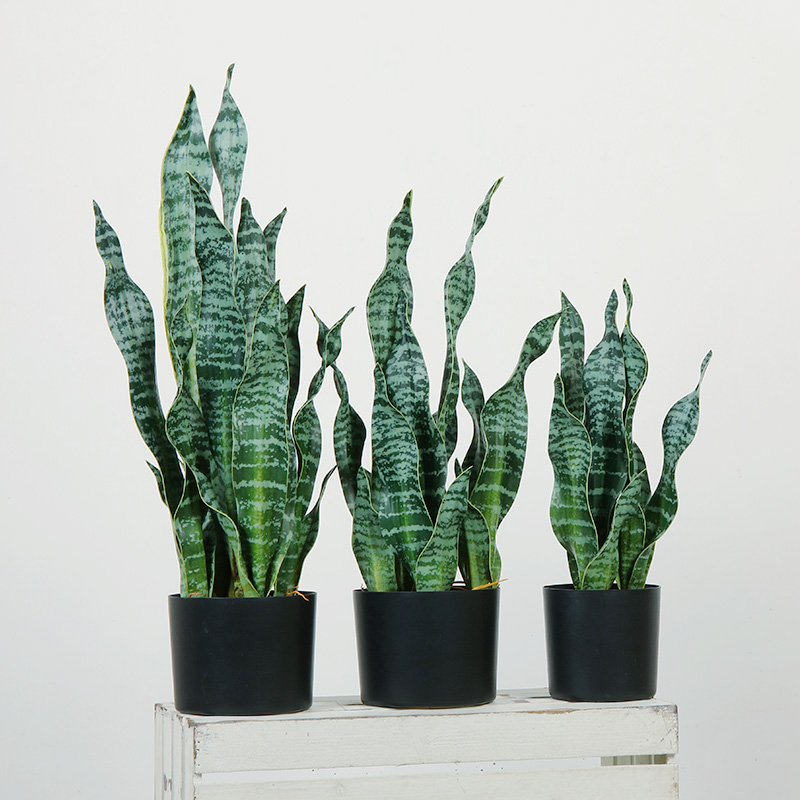 Hot Sale Green Indendørs Home Plastic Artificial Plants Dekorative til Stue
