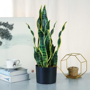 Hot Sale Green Indendørs Home Plastic Artificial Plants Dekorative til Stue