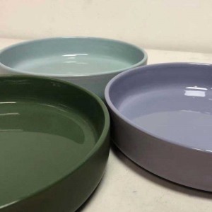 Hot Sell Ceramic Stentware Pasta Shallow Bowls Set